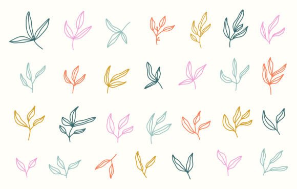 Minimalist Botanical Leaves Clipart Set Review